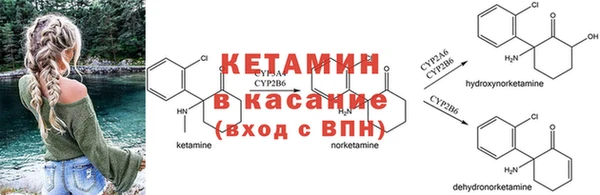 гашик Аркадак