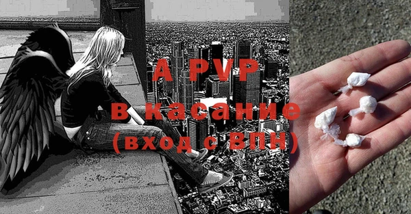 гашик Аркадак